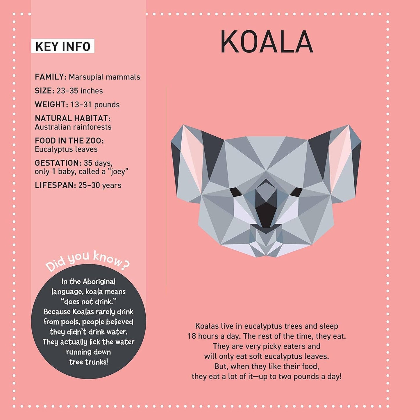 Fox Chapel Publishing - My Sticker Paintings: Zoo - Children's Activity Book